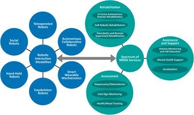 Review: How Can Intelligent Robots and Smart Mechatronic Modules Facilitate Remote Assessment, Assistance, and Rehabilitation for Isolated Adults With Neuro-Musculoskeletal Conditions?